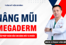 Nâng Mũi Sụn Megaderm: Giải Pháp Hoàn Hảo Cho Dáng Mũi Tự Nhiên